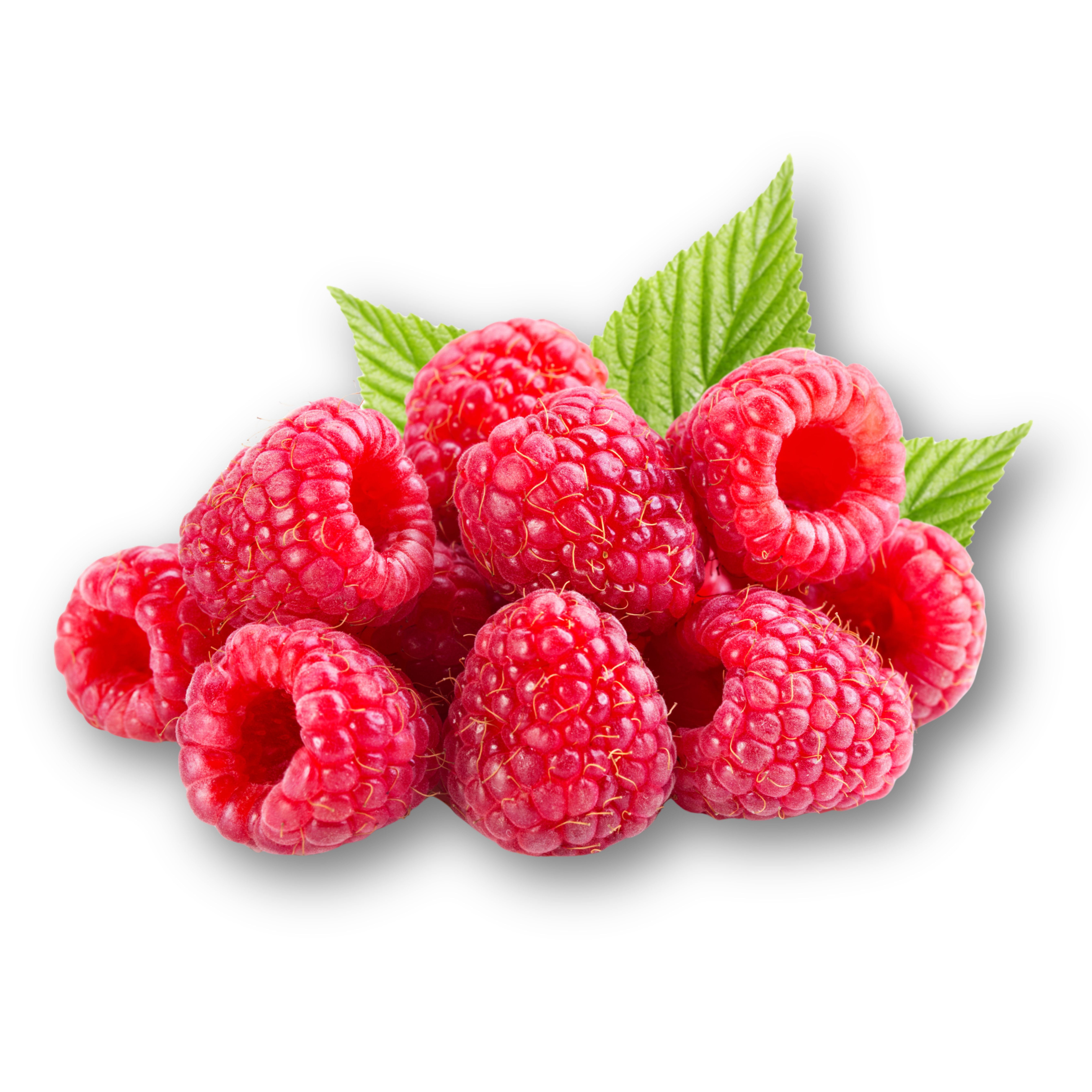Berries Hub