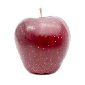 Washington Apple (Red Delicious) - U.S.A